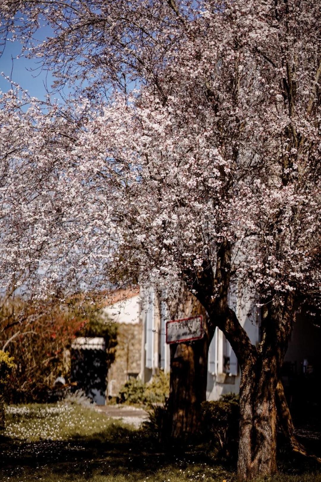 Saint-Maixent-lʼÉcoleChez Guilem住宿加早餐旅馆 外观 照片
